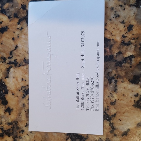 Rare Python Salvatore Ferragamo Handbag - Picture 12 of 12